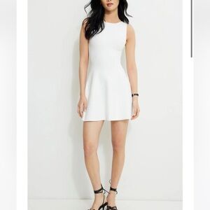 Dynamite Penelope Boat Neck Mini Sweater Dress